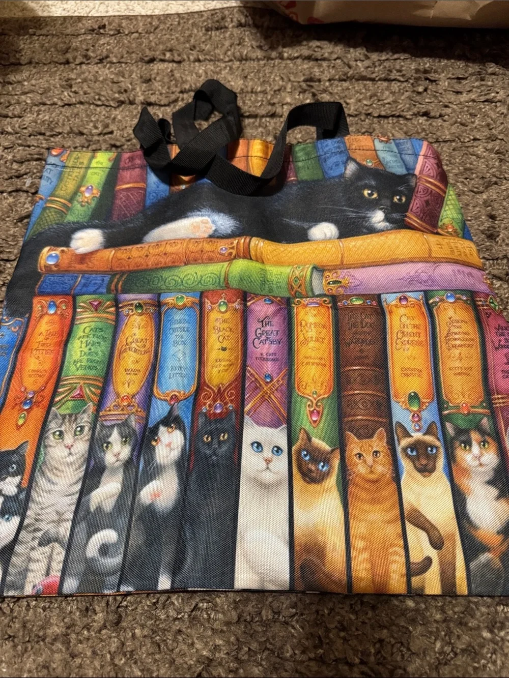 Cat-Themed Bookstack Tote Bag in Multicolor